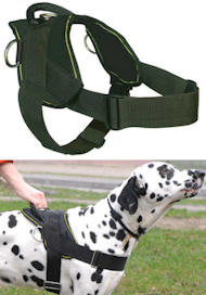 Best Dog Training Harness for GREAT DANE